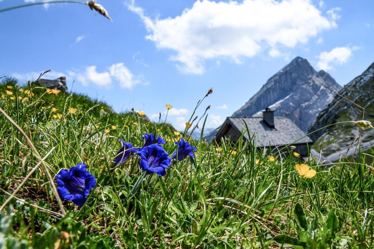 Ferienwohnung Gruenstein Шёнау-ам-Кёнигсзе Экстерьер фото